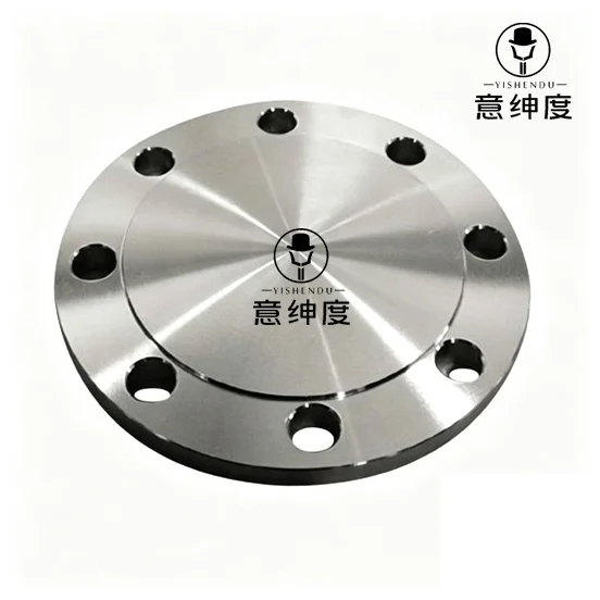 API 6A Blind Flange RTJ