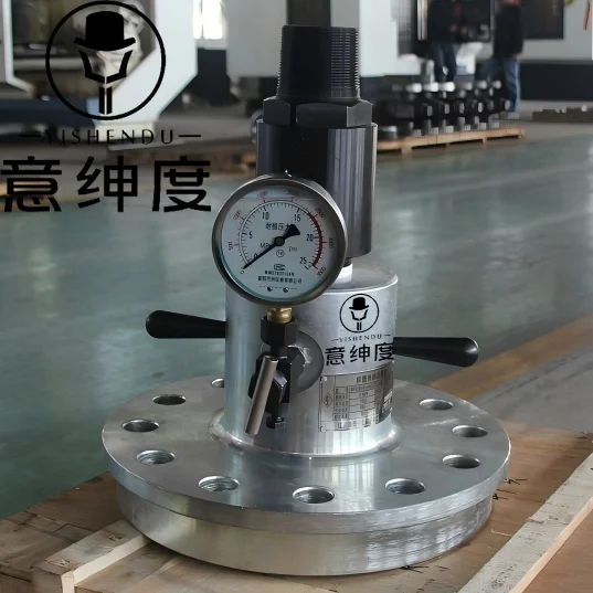Pressure Gauge Manometer for Wellhead Assembly Xmas Tree