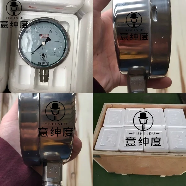 Pressure Gauge Manometer for Wellhead Assembly Xmas Tree
